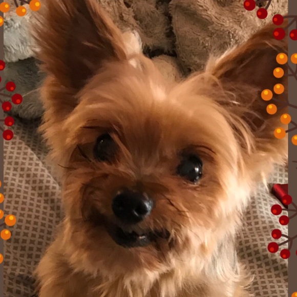 Posh Party Philly! - Picture 2 of 2